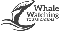 Whale Watching Tours Cairns | Sister company of Big Cat Green Island Reef Cruises