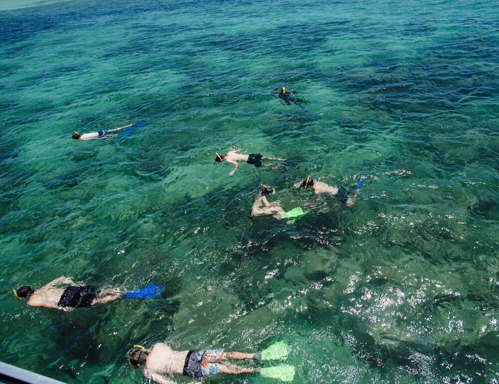 green island snorkelling tours