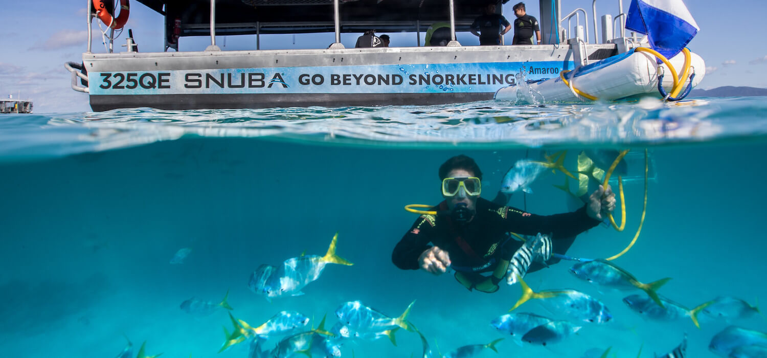 Big Cat Green Island Reef Cruises SNUBA Header