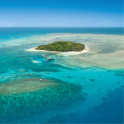 Snorkelling at Green Island with Big Cat.