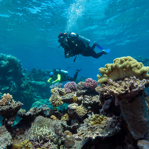 Big Cat Green Island Diving Adventures from Cairns